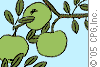 Toon Gif